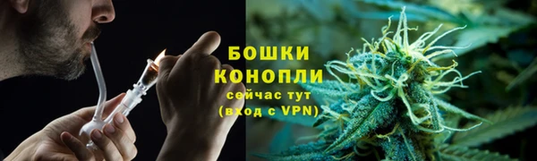 ПСИЛОЦИБИНОВЫЕ ГРИБЫ Каменногорск