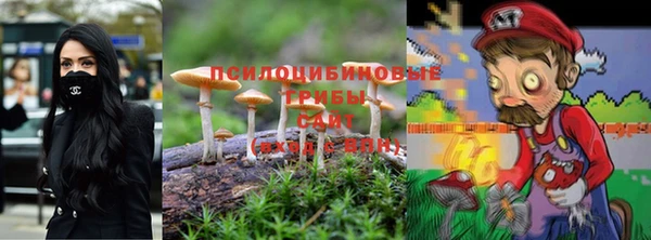 соль ск Каменск-Шахтинский