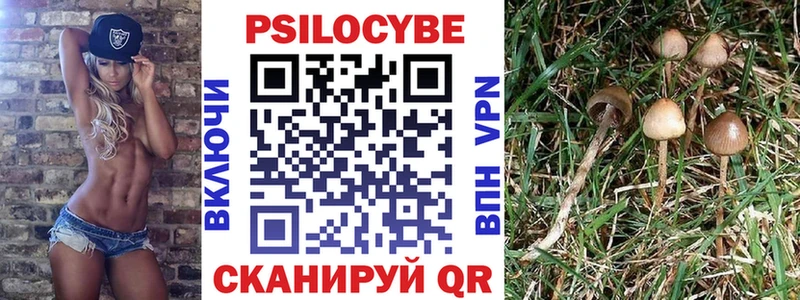 Псилоцибиновые грибы Cubensis  Купить закладки  Оха 