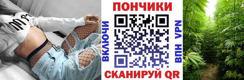 Купить закладки  Оха  Канабис гибрид 